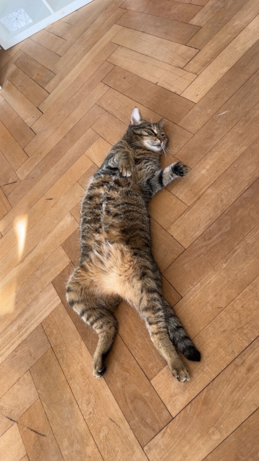 Habitación en WG Oberstadt Malerstraße - foto 16