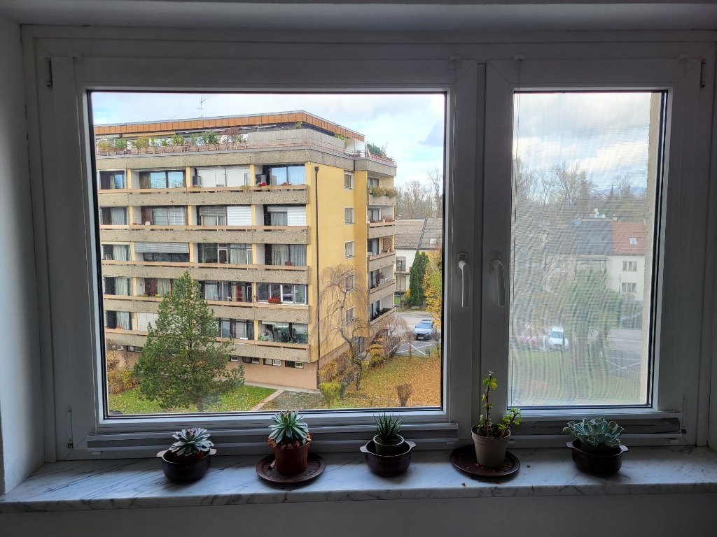 WG-Zimmer Lehen Fasaneriestraße 8 - Bild 4