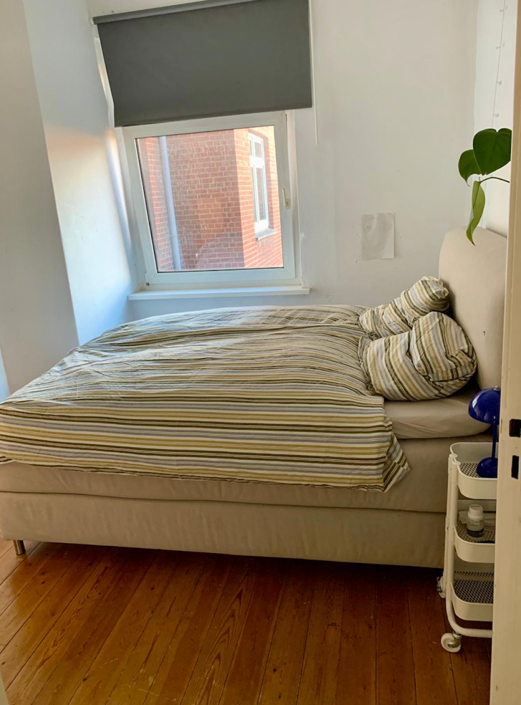 Möblierte Wohnung in Eimsbüttel (01.10.-31.12.2026) – Fruchtallee, 20259 Hamburg Eimsbüttel – Vorschaubild 2