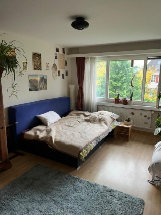 Anzeigenbild: Mitbewohner/in gesucht in ruhiger 4-Zimmer-Wohnung