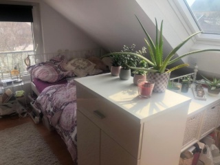 Ad image: 1 Zimmer Apartment in der Altstadt