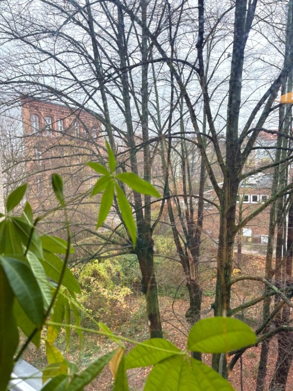 1-Zimmer-Wohnung Gesundbrunnen Stettiner Straße - Blick aus dem Fenster