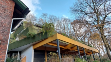 Anzeigenbild: Gr. Zimmer mit Terr. u. Bad am Park, möbl.