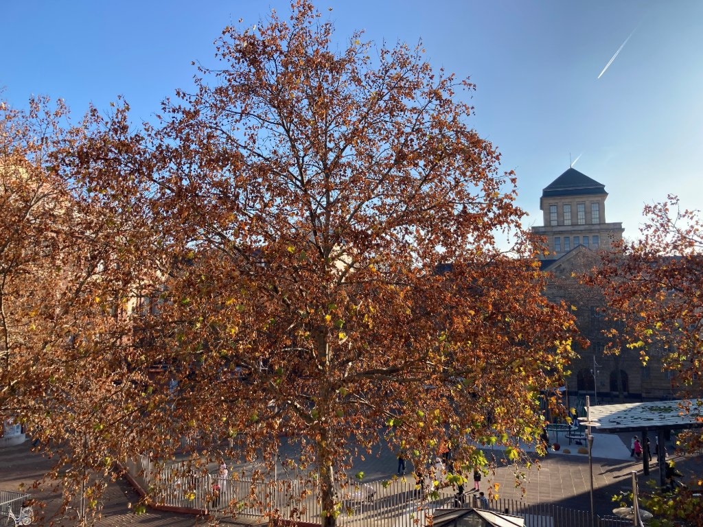 WG-Zimmer Innenstadt U 99 - Aussicht