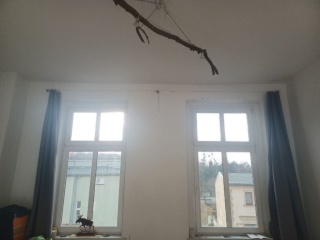 Ad image: Schönes Zimmer in kleiner zweier WG