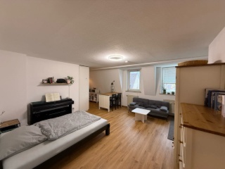 Anzeigenbild: Möblierte 1-Zimmer-Wohnung in zentraler Lage