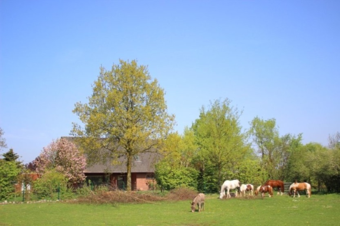 WG-Zimmer Münster Nord Nähe Gasselstiege Zum Bergbusch 105 - Tiere auf dem Erlebnishof
