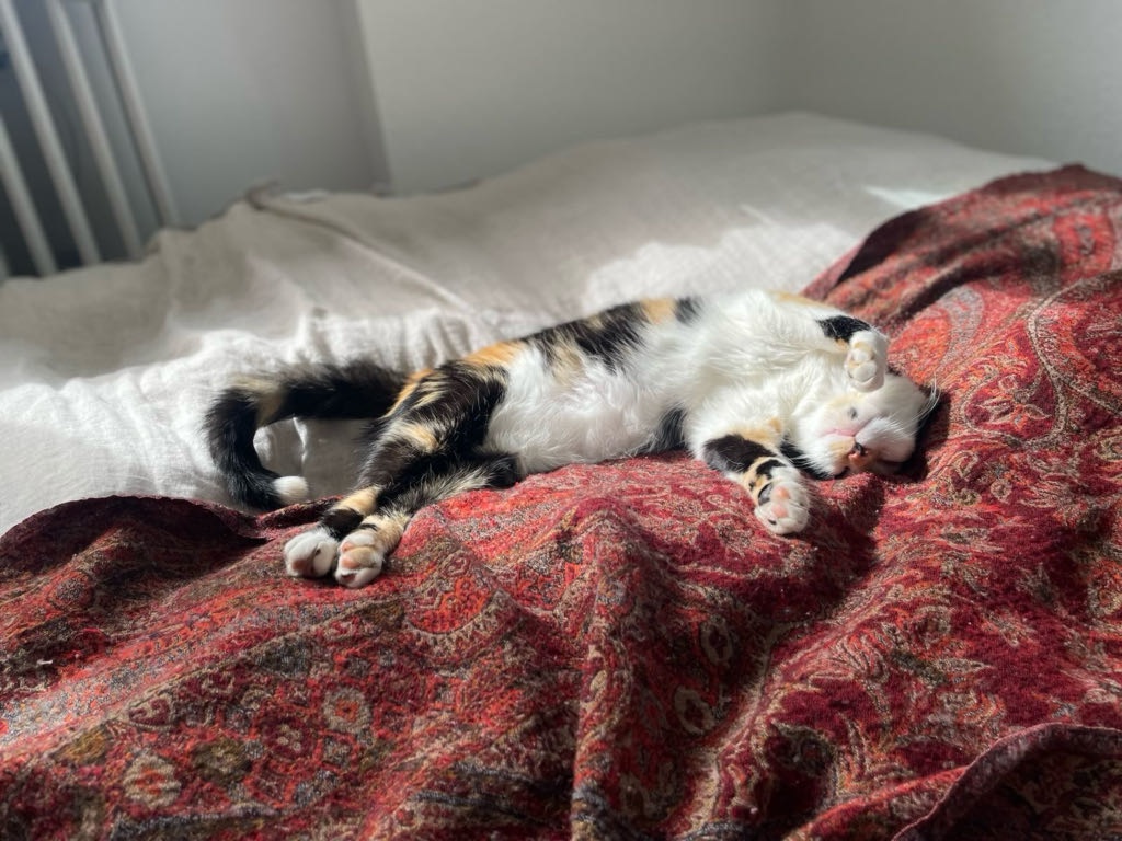 WG-Zimmer Haslach Spitalfeldweg 10 - Bild 3