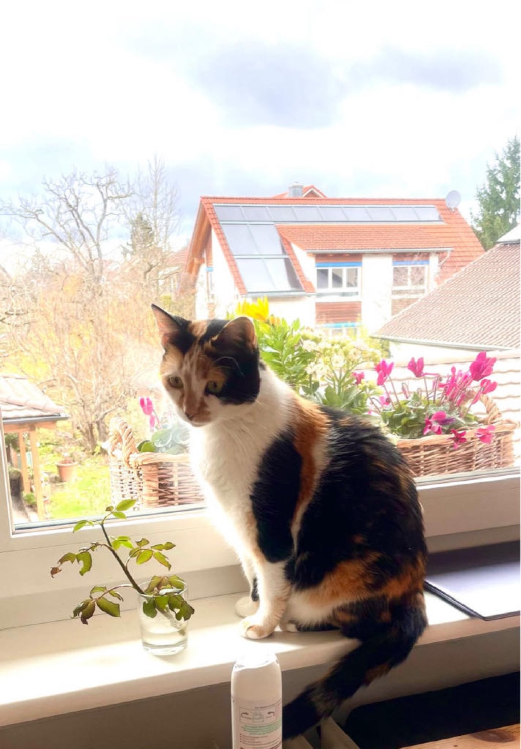 WG-Zimmer Haslach Spitalfeldweg 10 - Bild 8