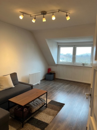 Ad image: Dachgeschoss 2-Zimmerwohnung in Neckarstadt Ost- Teilmöbliert