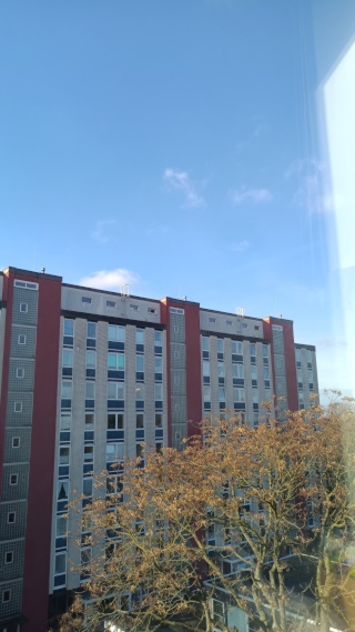 Anzeigenbild: Gemütliches Studio–Zwischenmiete–Nur für Frauen–Ab 1. Dezember verfügbar!!