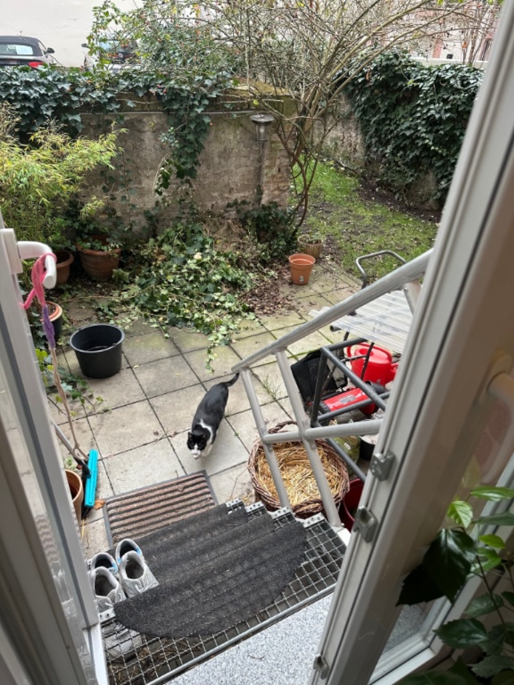 Wohnung Nordend-Ost Neuhofstraße - Küchenausgang zur Terrasse