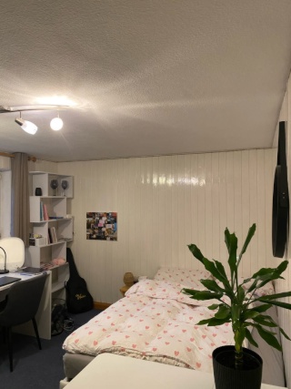 Imagen del anuncio: Ruhige Souterrainwohnung mit seperater Küche