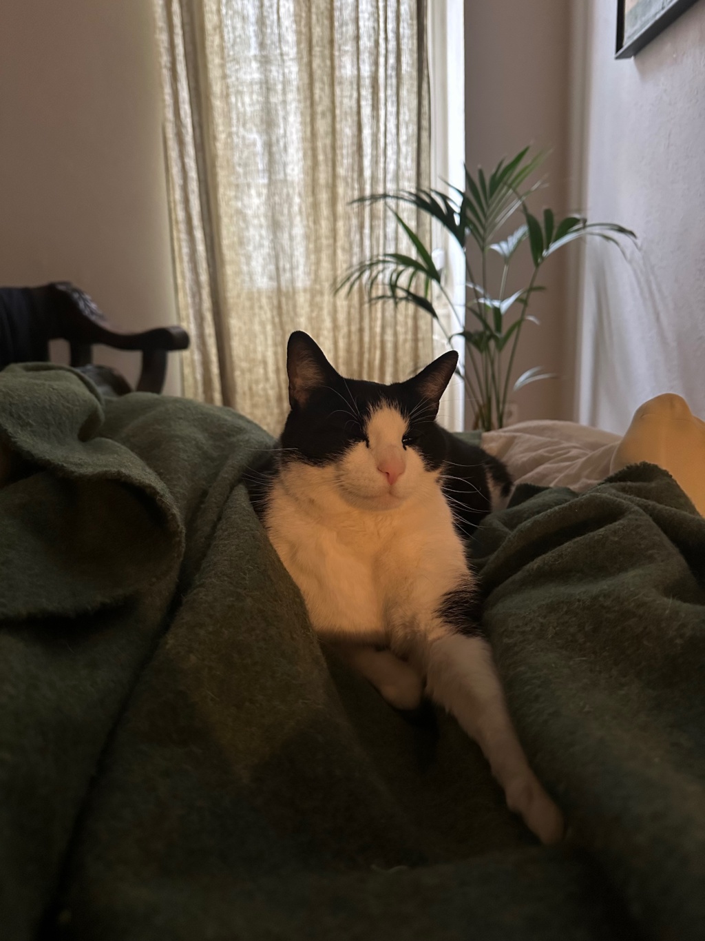 Wohnung Nordend-Ost Neuhofstraße - Bett mit Karlo :)