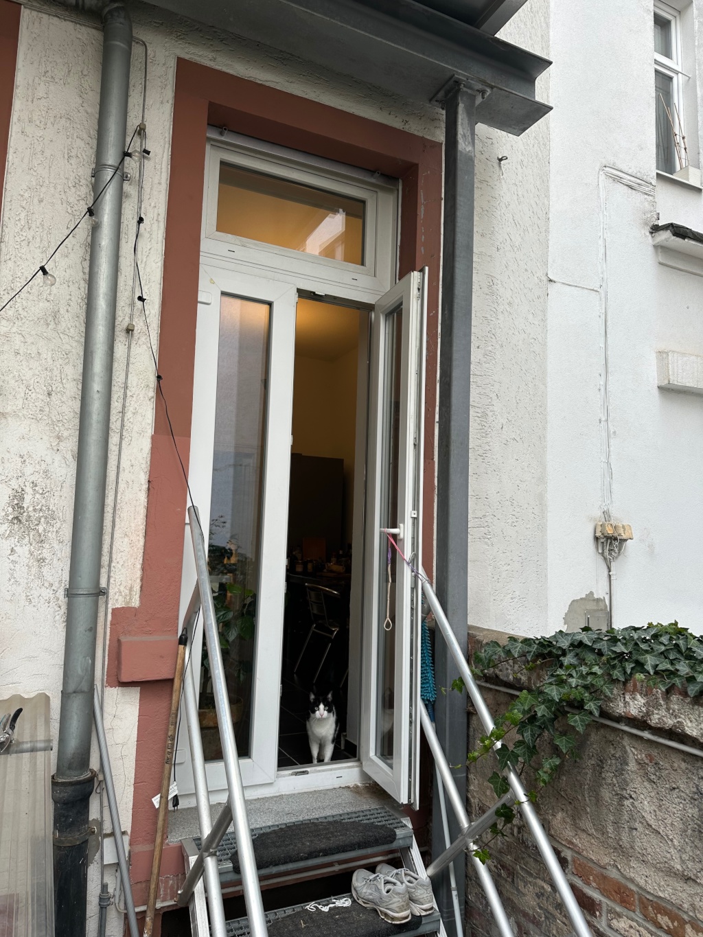 Wohnung Nordend-Ost Neuhofstraße - Terrasseneingang zur Küche