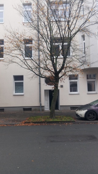 Anzeigenbild: Schönes ruhiges Zimmer in 4er WG