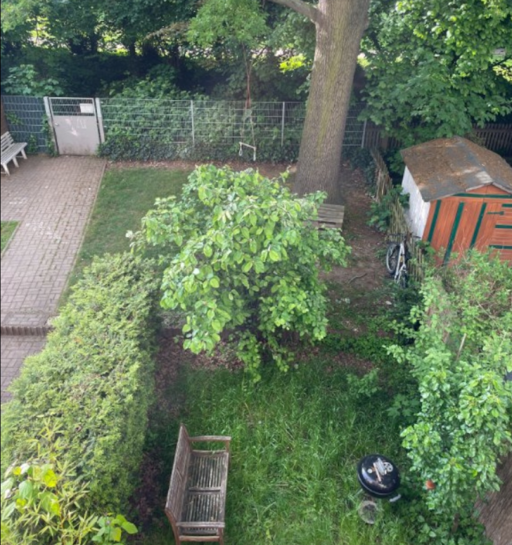 WG-Zimmer Neustadt-Neuschönefeld Bergstraße - Garten