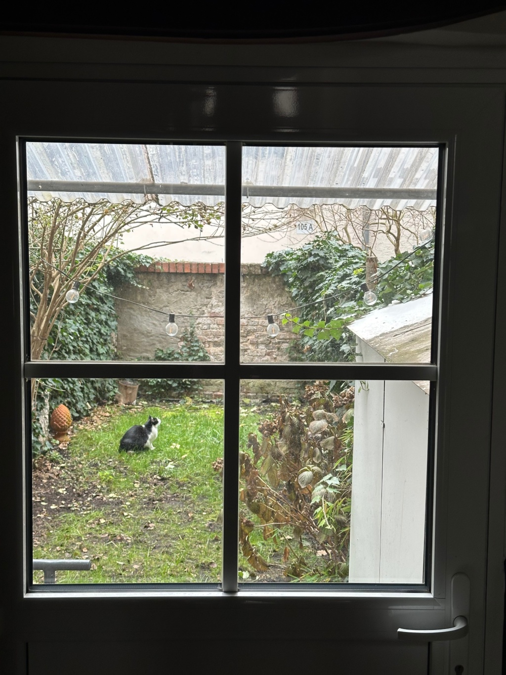 Wohnung Nordend-Ost Neuhofstraße - Hausflur Richtung Garten
