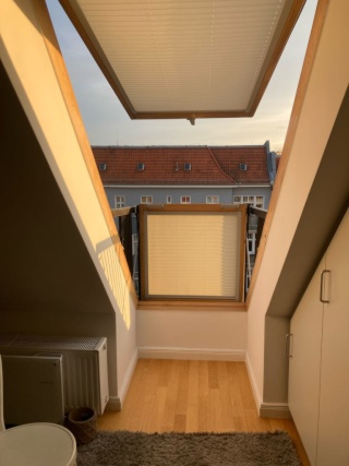 Anzeigenbild: Cozy and Beautiful Apartment with lots of Sunlight