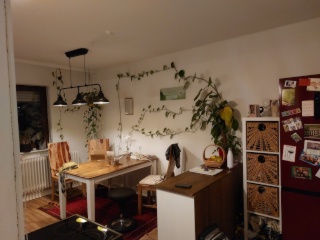 Ad image: Untermieter*in von Feb. - Jul. gesucht