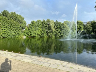 Anzeigenbild