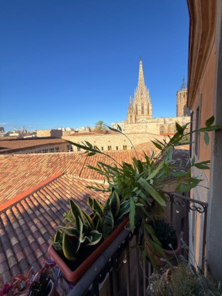 Imagen del anuncio: Bright Room with Private Balcony & Stunning Cathedral Views