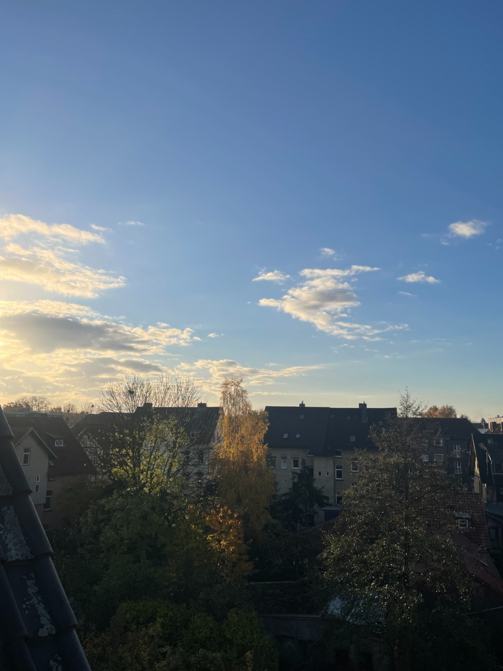 Sonnige 1 Zimmer Wohnung am Stadtwall (Balkon, Geschirrspüler, möbliert) – Bürgerstr., 37073 Göttingen Innenstadt – Vorschaubild 4