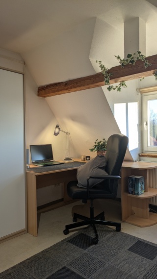 Anzeigenbild: Großes Zimmer nahe der Universität