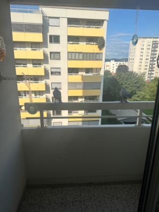 Anzeigenbild: Wohnung bei TU Inffeldgasse, Graz Jakomini