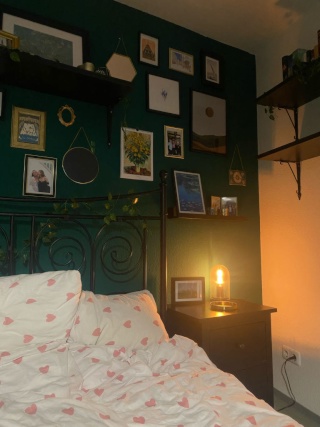 Anzeigenbild: NUR FÜR STUDENTEN!!! Wunderschönes, großes WG Zimmer