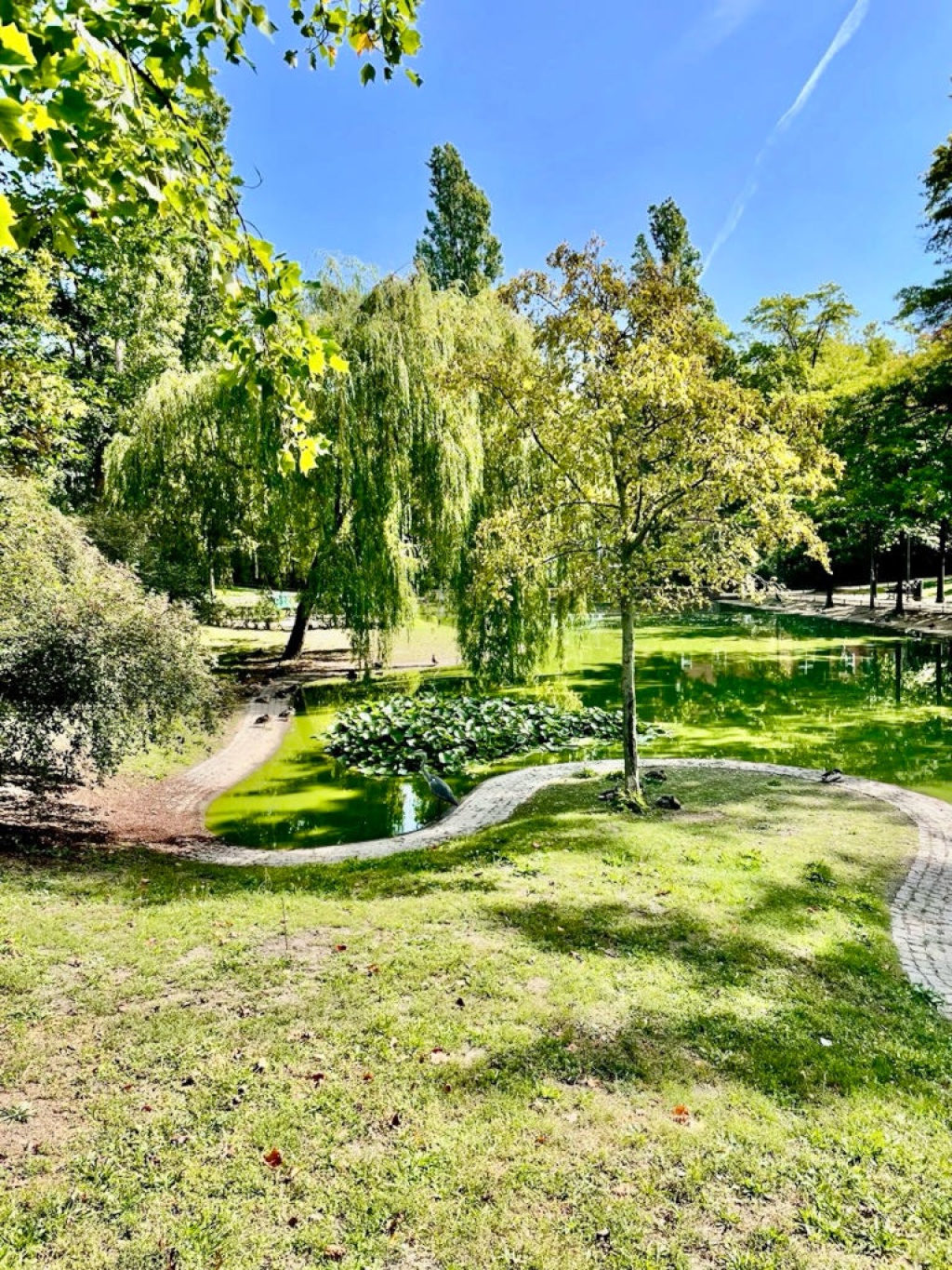 WG-Zimmer Friedenau Nähe Lauenburger Platz - ...Tür an Tür mit...🦔 + 🐿️ + 🦆...