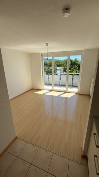 Ad image: sehr schöne vollmöbelierte 1Zi-Wohnung von inkl. März bis inkl. September unterzuvermieten