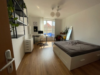 Anzeigenbild: Zentrales, großzügiges 20qm Zimmer in 2er-WG - Beste Lage direkt neben dem Kulturpalast