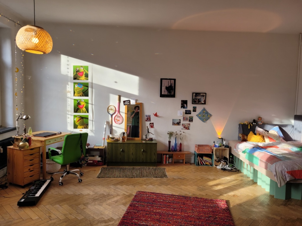 Flatshare Lüneburg Scharnhorststraße 1a - Das Zimmer