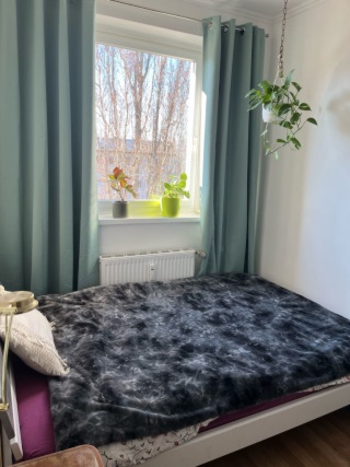 Anzeigenbild: möbliert WG zimmer in Prenzlauer Berg