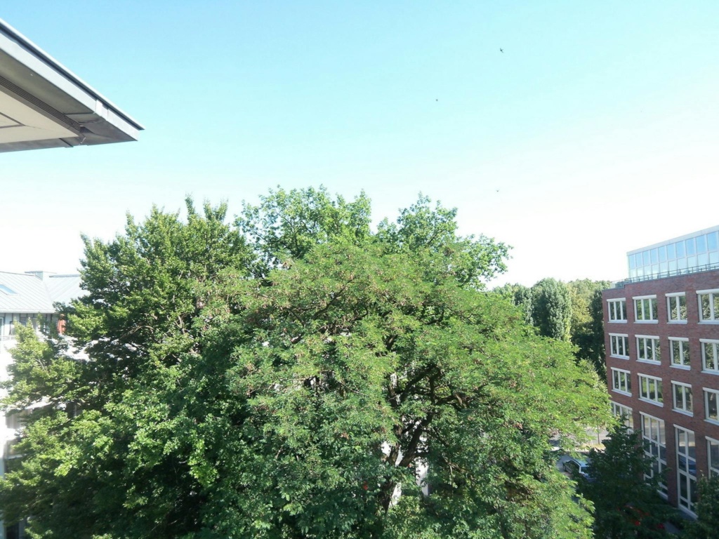 Wigandstaler Straße, Berlin