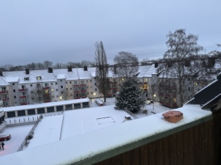 Ad image: Frisch renovierte  2 Zimmer-Wohnung mit Balkon