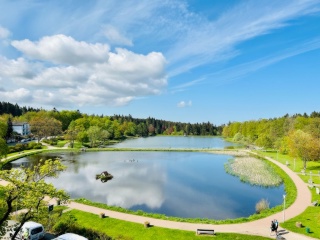 Anzeigenbild: Wohnung/Apartment möbliert Goslar-Hahnenklee inkl Strom & Heizung