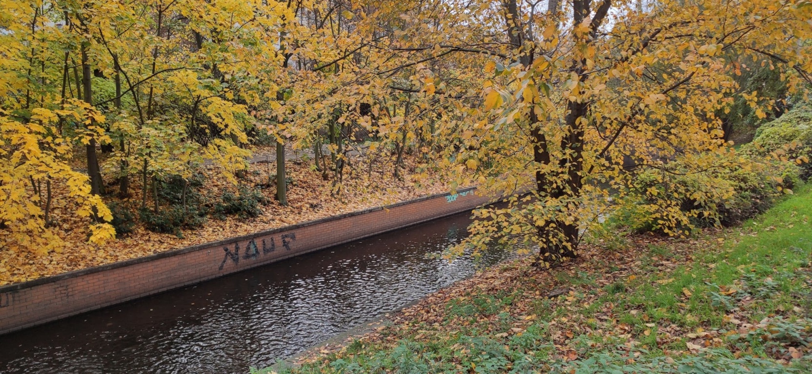 Ravenéstraße, Berlin – Ravenéstraße, 13347 Berlin – Vorschaubild 3