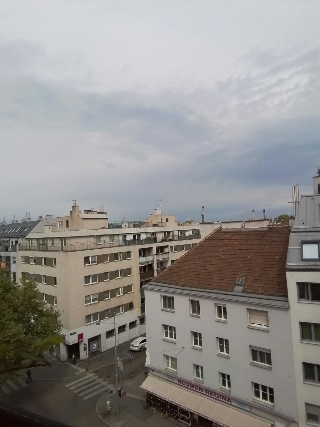 WG-Zimmer Wien Donaufelder Straße - Bild 1