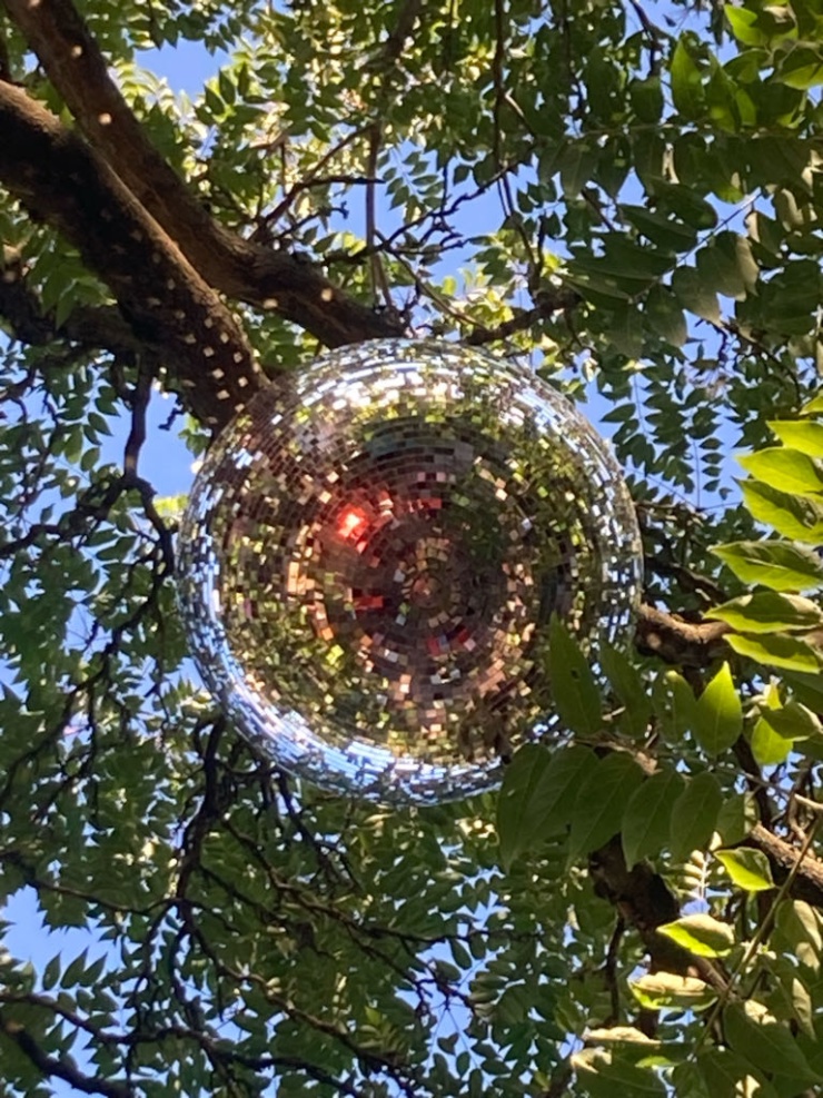 Anzeigenbild: Erasmus student from germany searching for a place in Paris.