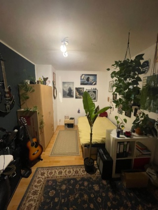 Anzeigenbild: Ruhiges WG-Zimmer für Berufserfahrene oder Absolventinnen*