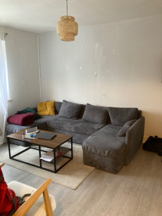 Ad image: Fully Furnished, Two Rooms, Beautiful, Riverside, 8 minutes from Hauptbahnhof Apartment 4 Months (flexible dates/possibility to extend))