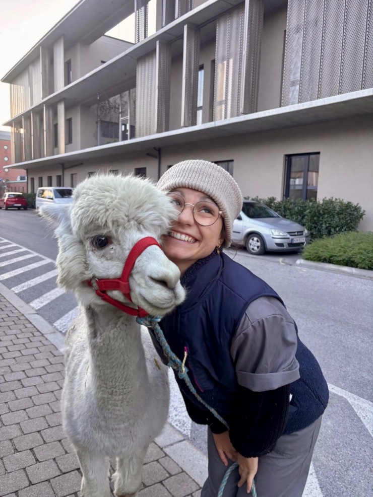 Ad image: Suche WG Zimmer in Zürich:))