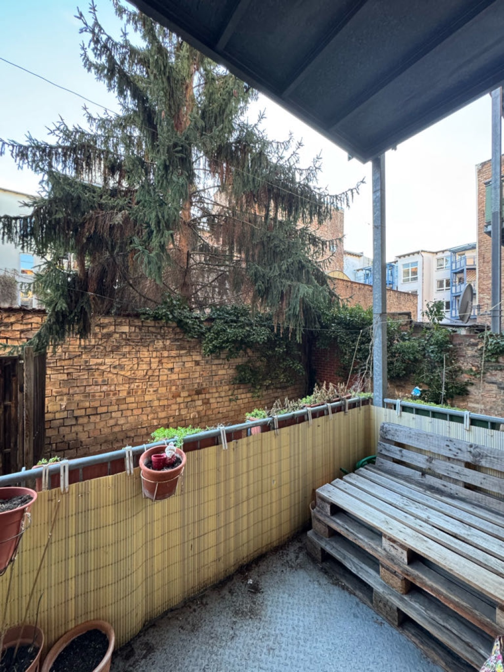 Flatshare Südliche Innenstadt Bernhardystraße - picture 8