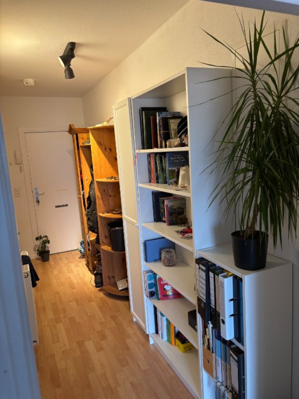 Untermiete: 1-Zimmerwohnug mit Balkon in Top Lage – Waitzstraße, 24105 Kiel Brunswik – Vorschaubild 4