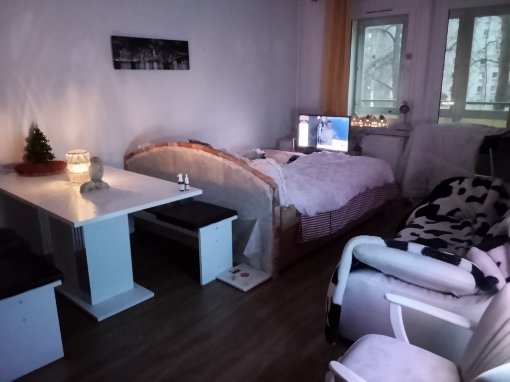 Wohnung 2 Zimmer im Zentrum – St. Petersburger Str., 1069 Dresden Altstadt – Vorschaubild 7