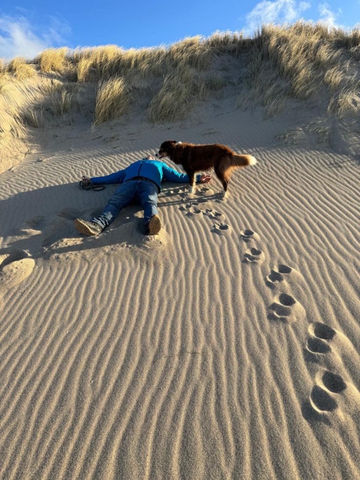 Imagen del anuncio: Sozialarbeiter