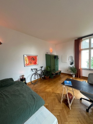 Anzeigenbild: gemütliches und helles WG-Zimmer