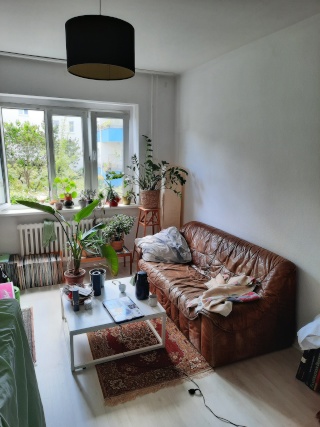 Zwischenmiete 2-Zi-Wohnung 28.8. - 4.10.26 für insg. 735€ — photo 1